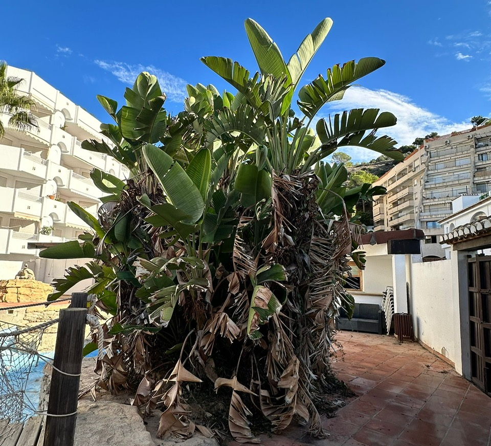 La Junta Vecinal de La Caleta se reúne con Almuñécar Unida para la Gente 